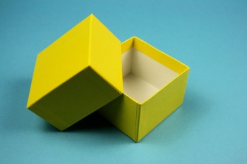 NANU 50 Kryobox (Karton standard) ohne Facheinteilung, gelb, Höhe 50 mm