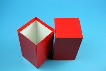 NANU 130 Kryobox (Karton spezial) ohne Facheinteilung, rot, Höhe 130 mm