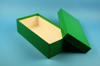 BRAVO 75 lang2 Kryobox (Karton standard) ohne Facheinteilung, grün, Höhe 75 mm