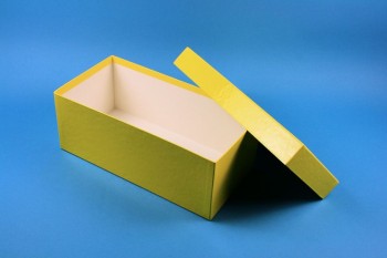 BRAVO 100 lang2 Kryobox (Karton spezial) ohne Facheinteilung, gelb, Höhe 100 mm