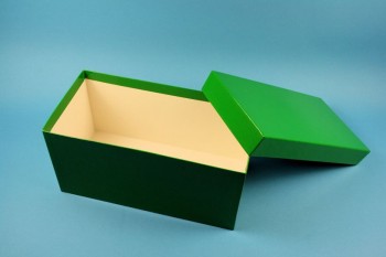 ALPHA 130 lang2 Kryobox (Karton standard) ohne Facheinteilung, grün, Höhe 130 mm