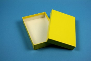 ALPHA Kryobox 25 kurz / 1x1 Fächer, gelb, Höhe 25 mm