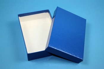 BRAVO Kryobox 32 kurz / 1x1 Fächer, blau, Höhe 32 mm