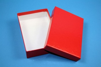ALPHA Kryobox 32 kurz / 1x1 Fächer, rot, Höhe 32 mm
