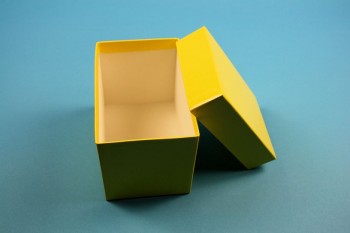 BRAVO Kryobox 110 kurz / 1x1 Fächer, gelb, Höhe 110 mm