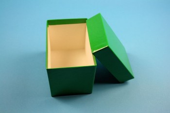ALPHA Kryobox 110 kurz / 1x1 Fächer, grün, Höhe 110 mm