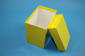 CellBox Maxi lang Kryobox (Karton standard) ohne Facheinteilung, gelb, Höhe 128 mm
