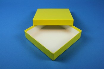 BRAVO 32 Kryobox (Karton standard) ohne Facheinteilung, gelb, Höhe 32 mm