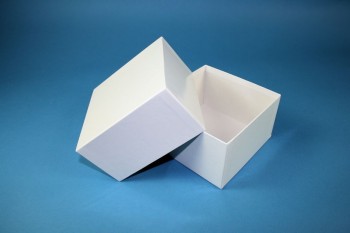 DELTA 75 Kryobox (Karton standard) ohne Facheinteilung, weiss, Höhe 75 mm