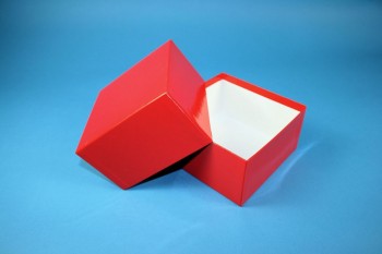 DELTA 75 Kryobox (Karton standard) ohne Facheinteilung, rot, Höhe 75 mm