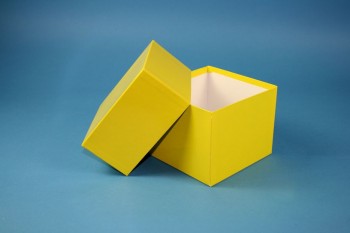 DELTA Kryobox 110 / 1x1 Fächer, gelb, Höhe 110 mm