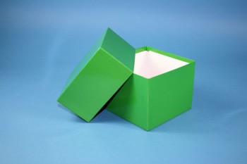 DELTA 100 Kryobox (Karton spezial) ohne Facheinteilung, grün, Höhe 100 mm