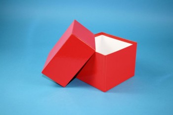 DELTA 130 Kryobox (Karton standard) ohne Facheinteilung, rot, Höhe 130 mm