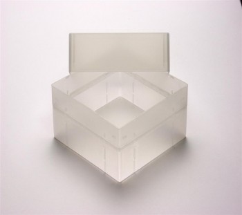 EPPi 102 Kryobox (PP) ohne Facheinteilung, transparent, Höhe 102 mm fix