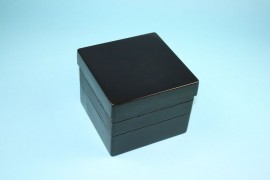 EPPi Kryobox 105 / 10 Löcher, black/black, Höhe 105 mm fix
