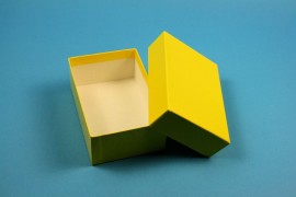 ALPHA Kryobox 50 kurz / 1x1 Fächer, gelb, Höhe 50 mm