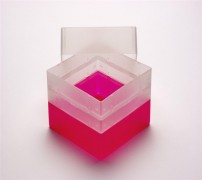EPPi 128 Kryobox (PP) ohne Facheinteilung, neon-rot/pink, Höhe 128 mm fix