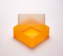 EPPi 75 Kryobox (PP) ohne Facheinteilung, neon-orange, Höhe 75 mm fix