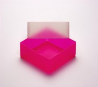EPPi 75 Kryobox (PP) ohne Facheinteilung, neon-rot/pink, Höhe 75 mm fix
