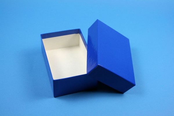ALPHA Kryobox 50 kurz / 1x1 Fächer, blau, Höhe 50 mm