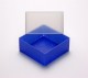 EPPi 95 Kryobox (PP) ohne Facheinteilung, neon-blau, Höhe 95 mm fix