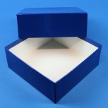 DELTA 50 Kryobox (Karton standard) ohne Facheinteilung, blau, Höhe 50 mm