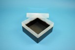 EPPi 70 Kryobox (PP) ohne Facheinteilung, schwarz, Höhe 70-80 mm variabel