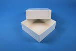 DELTA 50 Kryobox (Karton standard) ohne Facheinteilung, weiss, Höhe 50 mm