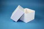 DELTA 130 Kryobox (Karton standard) ohne Facheinteilung, weiss, Höhe 130 mm