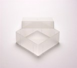 EPPi 50 Kryobox (PP) ohne Facheinteilung, transparent, Höhe 52 mm fix
