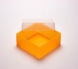 EPPi 50 Kryobox (PP) ohne Facheinteilung, neon-orange, Höhe 52 mm fix