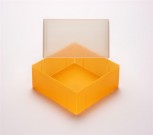 EPPi 95 Kryobox (PP) ohne Facheinteilung, neon-orange, Höhe 95 mm fix